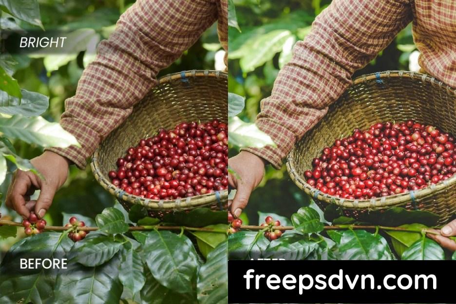 Coffee Industry Lightroom Preset DQ5DUYB coffee industry lightroom preset dq5duyb 2