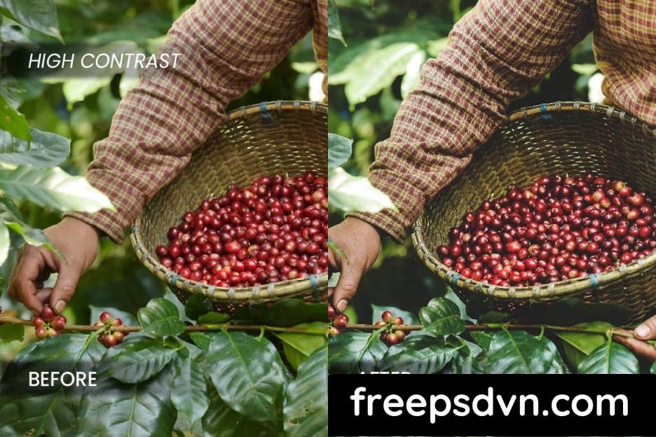 Coffee Industry Lightroom Preset DQ5DUYB coffee industry lightroom preset dq5duyb 4