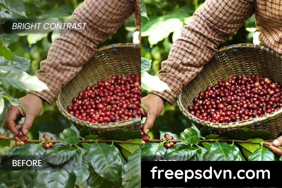 Coffee Industry Lightroom Preset DQ5DUYB coffee industry lightroom preset dq5duyb 5