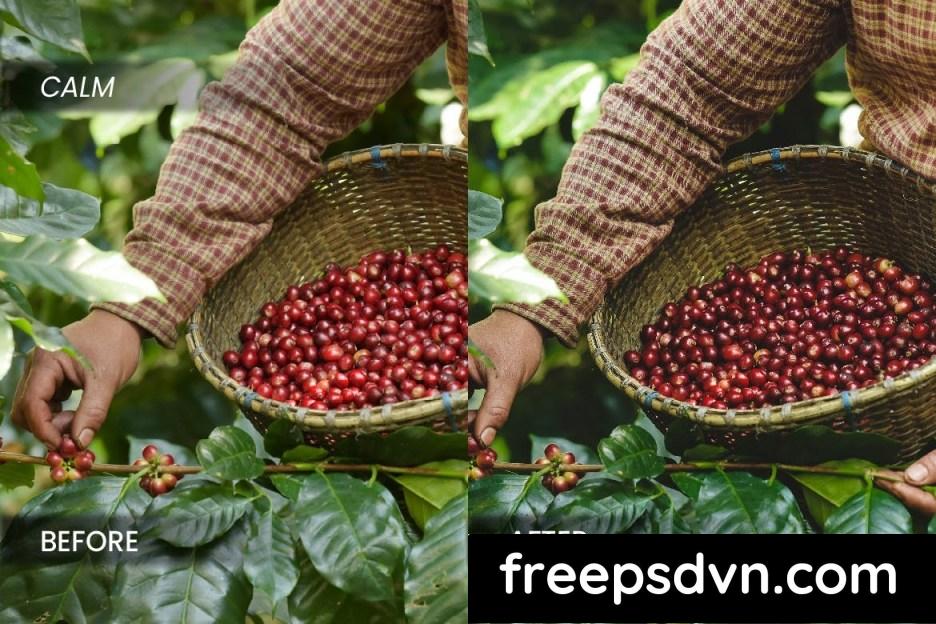 Coffee Industry Lightroom Preset DQ5DUYB coffee industry lightroom preset dq5duyb 6