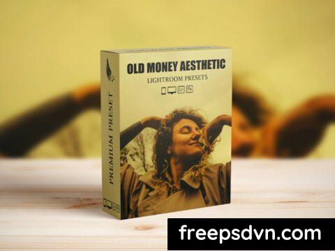 Old Money Aesthetic Lightroom Presets 7L5Z6NE 0 480x360 1