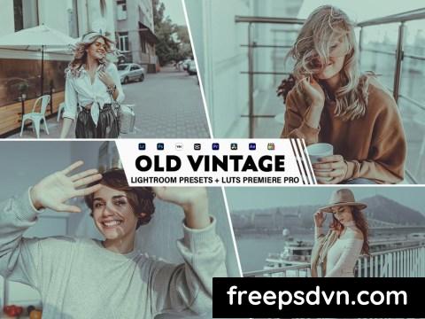 Old Vintage Lightroom Presets Luts Premiere Pro JBE85VG 0