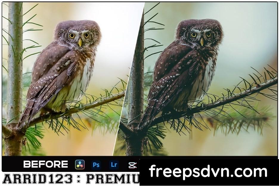 Cinimatic Lightroom Presets + Luts Premiere Pro 4Y6S89W cinimatic lightroom presets luts premiere pro 4y6s89w 3