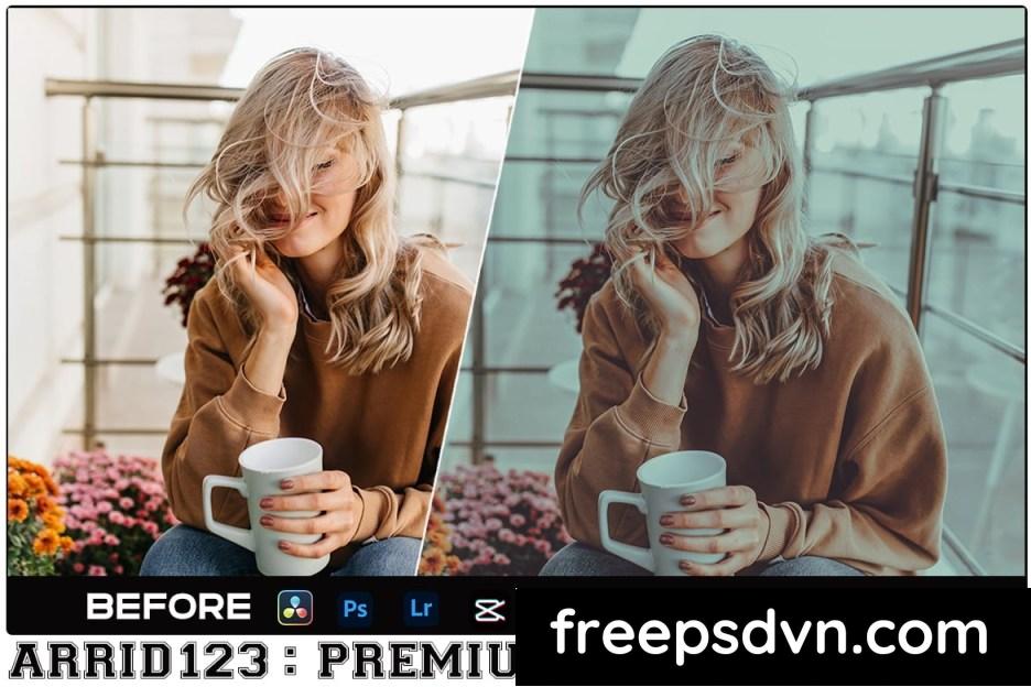 Old Vintage Lightroom Presets + Luts Premiere Pro JBE85VG old vintage lightroom presets luts premiere pro jbe85vg 3