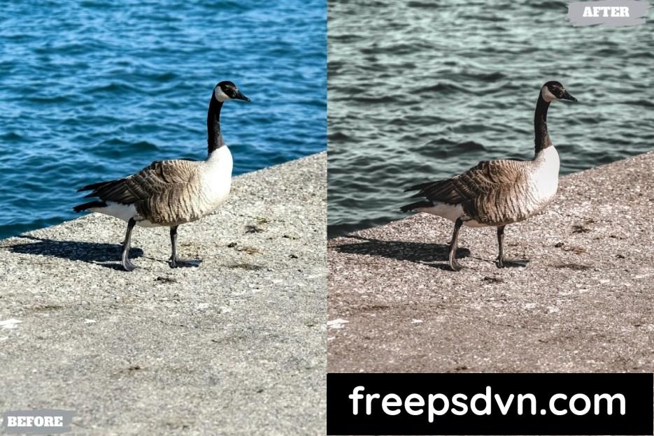 vintage warm lightroom presets dekstop and mobile cppz577 3 1
