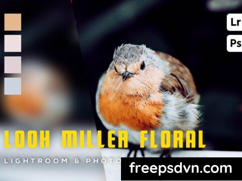 6 Look Miller Floral Lightroom Preset PM5BT7B 6 Look Miller Floral Lightroom Preset PM5BT7B 0 480x360 1