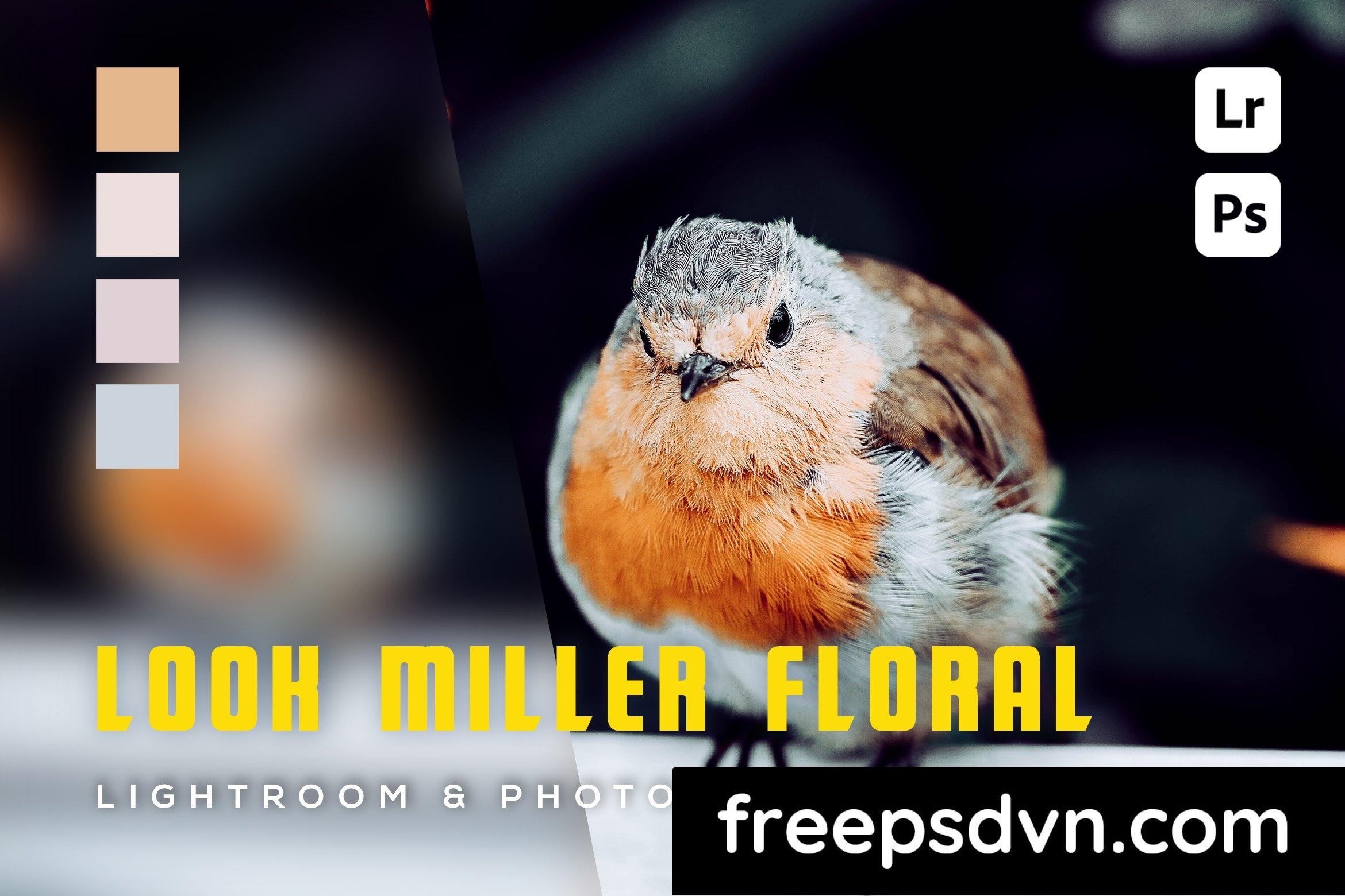 6 Look Miller Floral Lightroom Preset PM5BT7B 6 look miller floral lightroom preset pm5bt7b 0 1