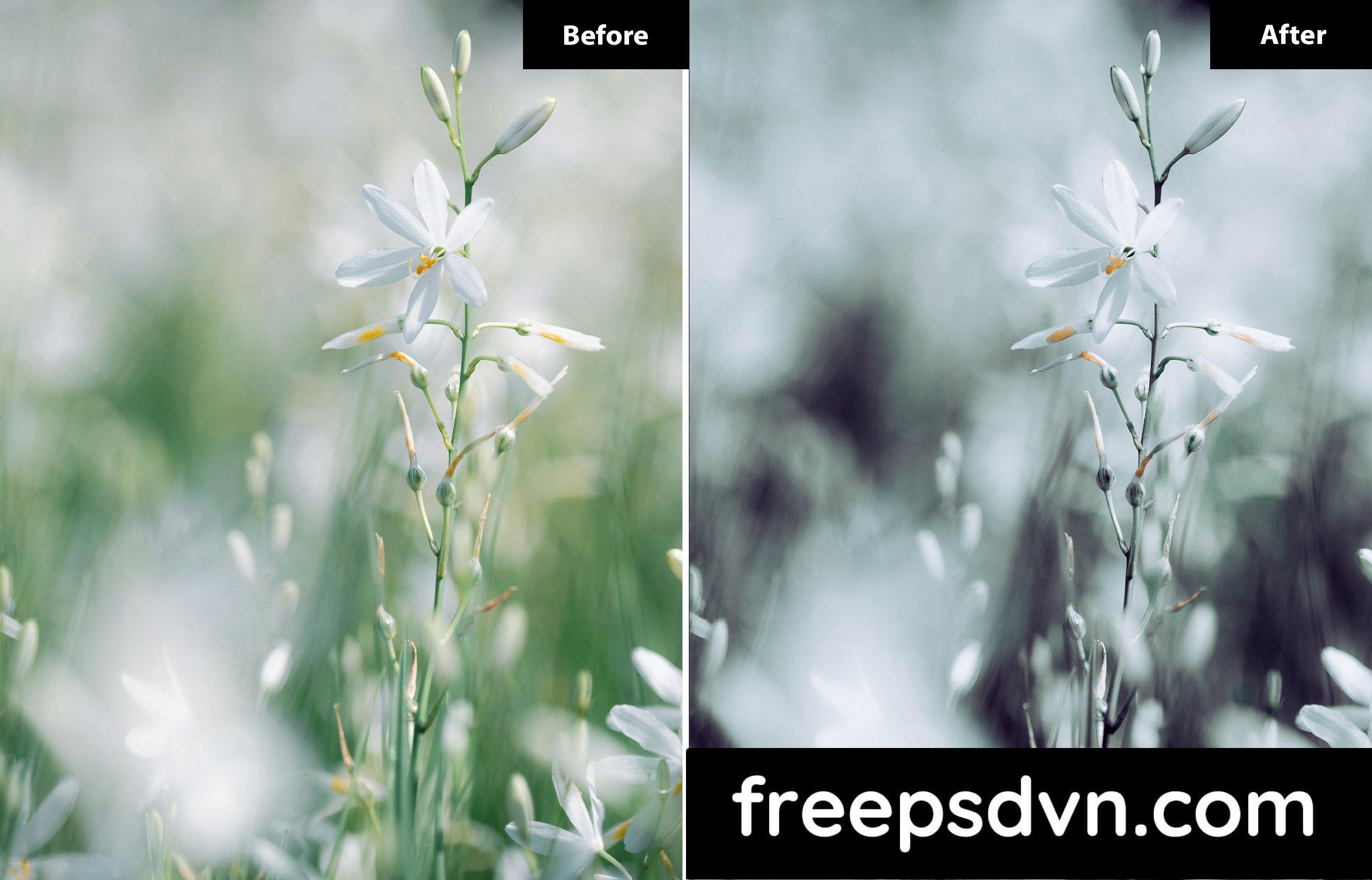 6 Look Miller Floral Lightroom Preset PM5BT7B 6 look miller floral lightroom preset pm5bt7b 1