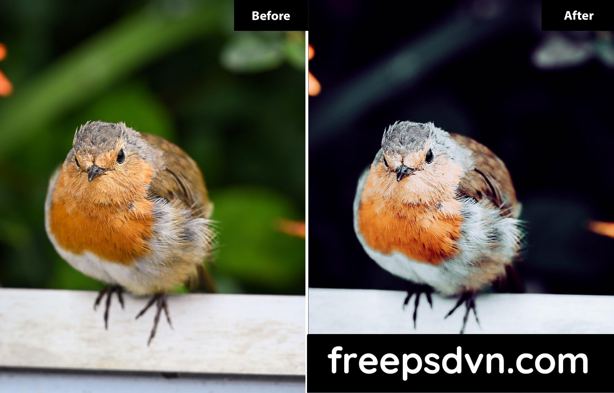 6 Look Miller Floral Lightroom Preset PM5BT7B 6 look miller floral lightroom preset pm5bt7b 2