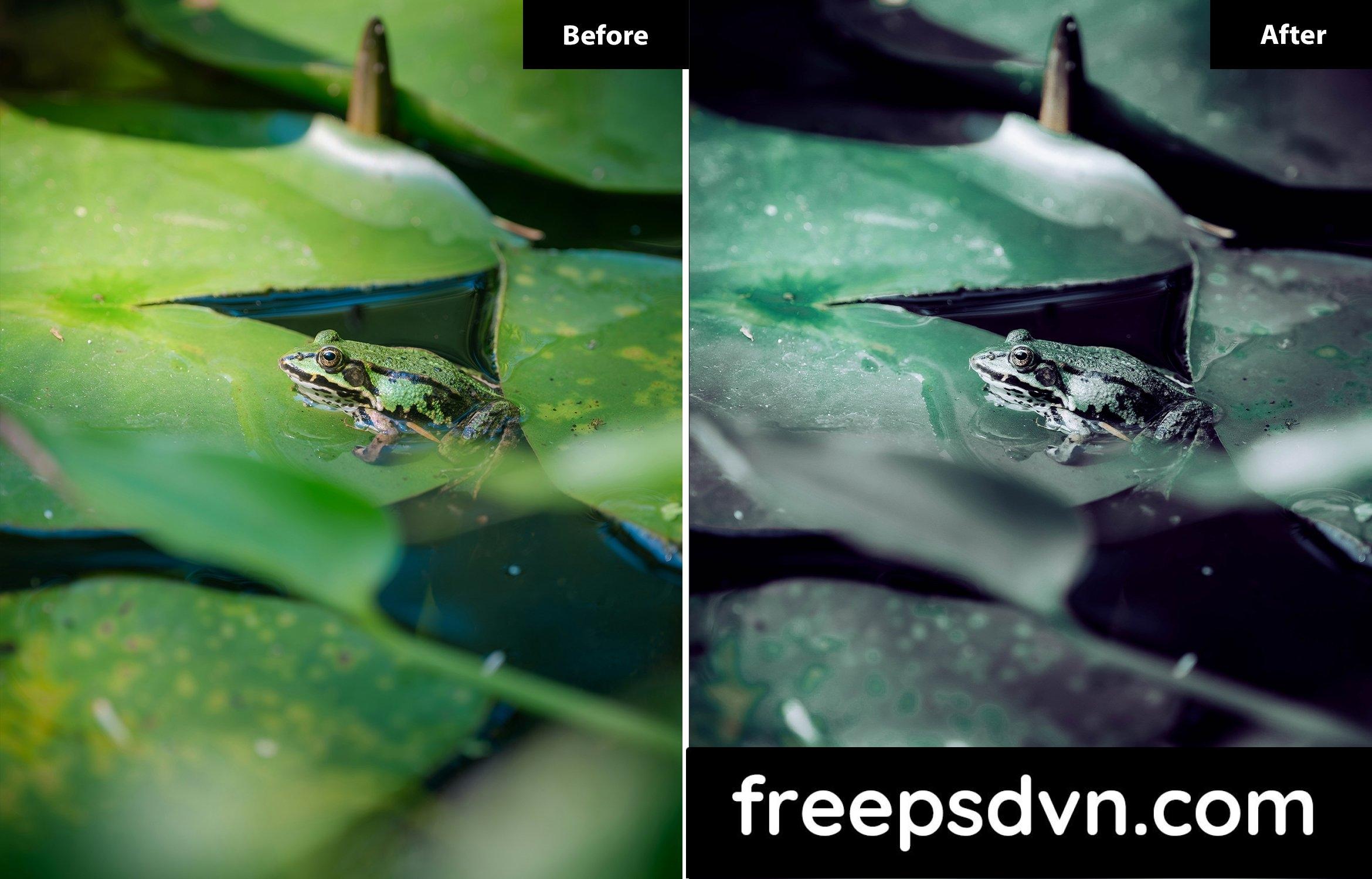 6 Look Miller Floral Lightroom Preset PM5BT7B 6 look miller floral lightroom preset pm5bt7b 3