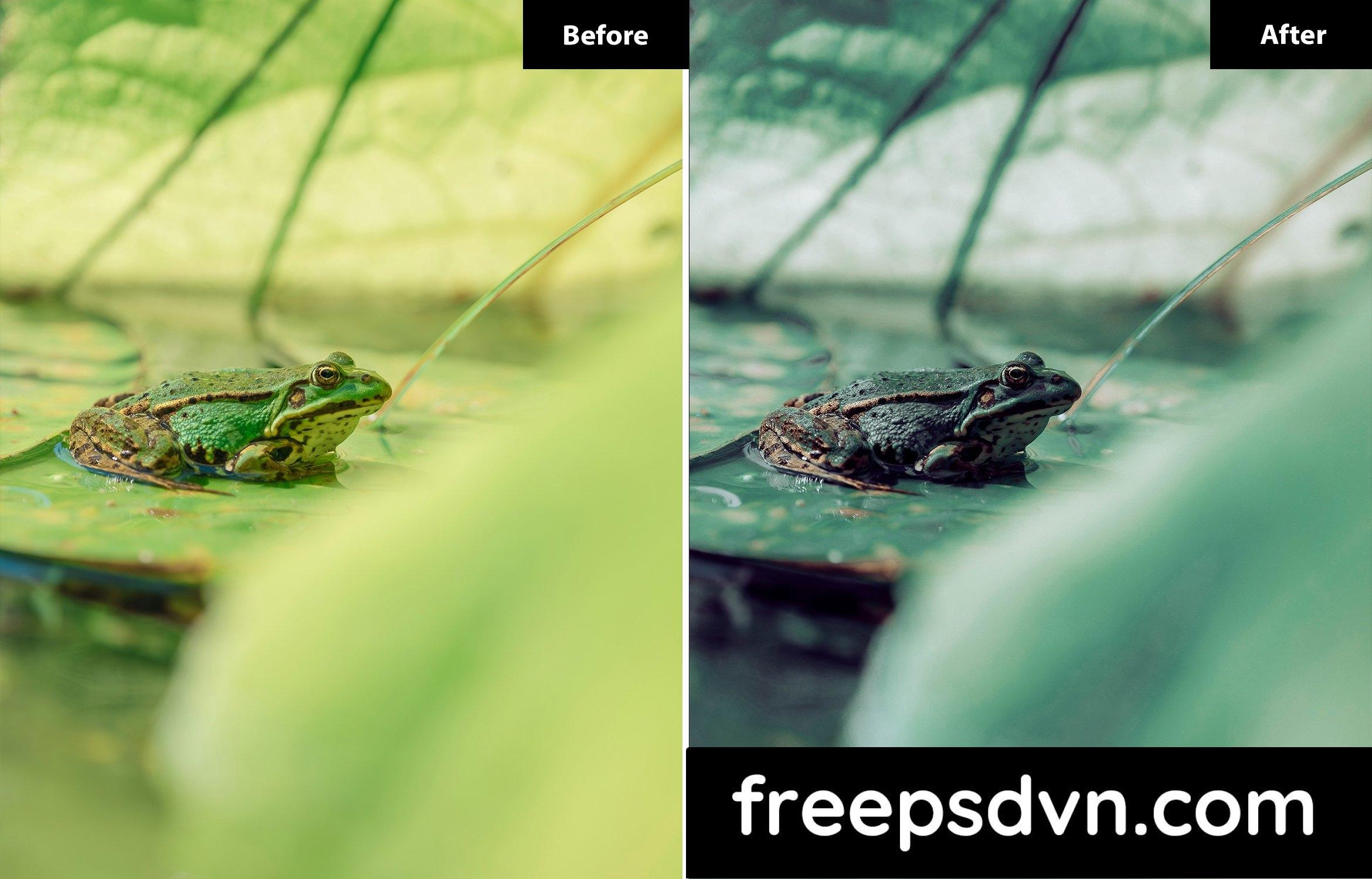 6 look miller floral lightroom preset pm5bt7b 4