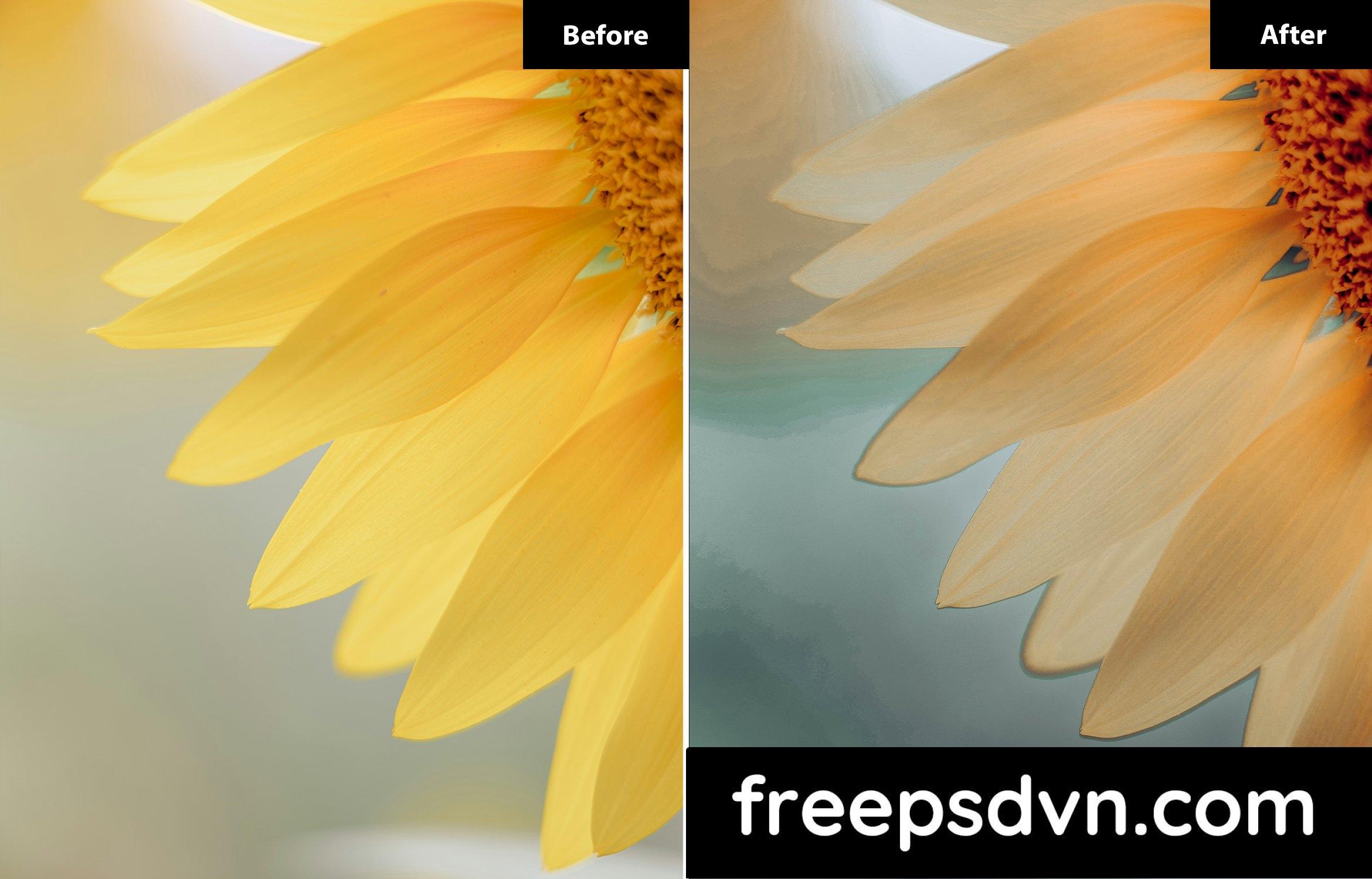 6 look miller floral lightroom preset pm5bt7b 5