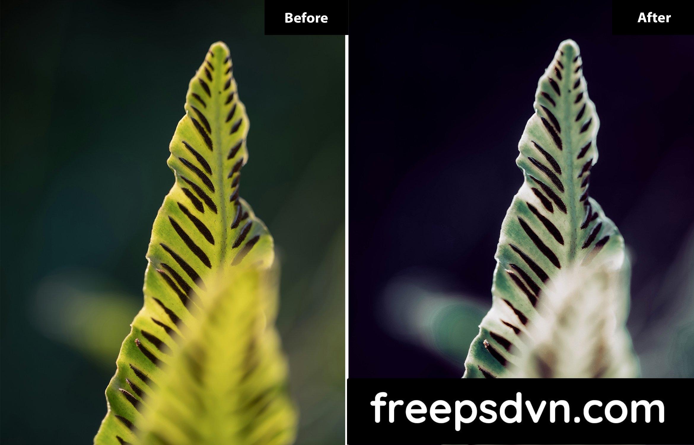 6 look miller floral lightroom preset pm5bt7b 6
