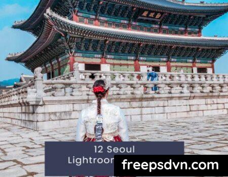 12 Seoul Lightroom Presets HSGUSJB 12 Seoul Lightroom Presets HSGUSJB 0 480x360 1