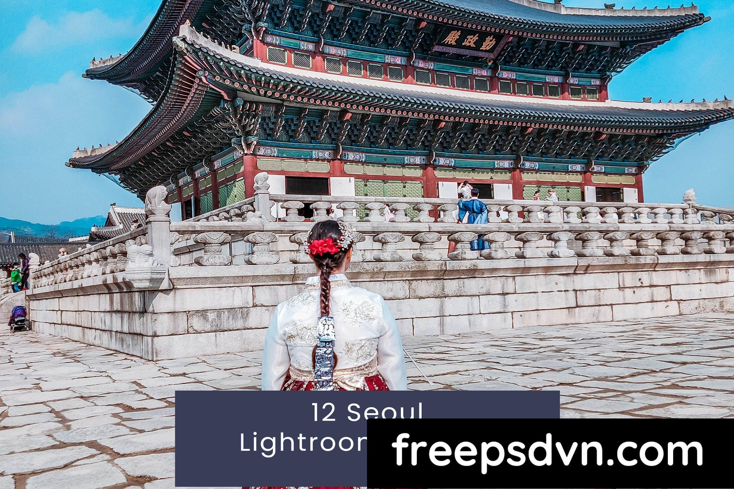 12 seoul lightroom presets hsgusjb 0