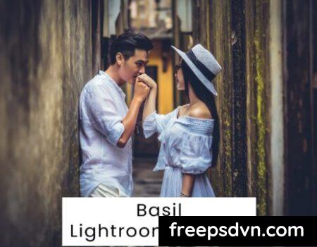 Basil Lightroom Presets U2MFB2S Basil Lightroom Presets U2MFB2S 0 480x360 1