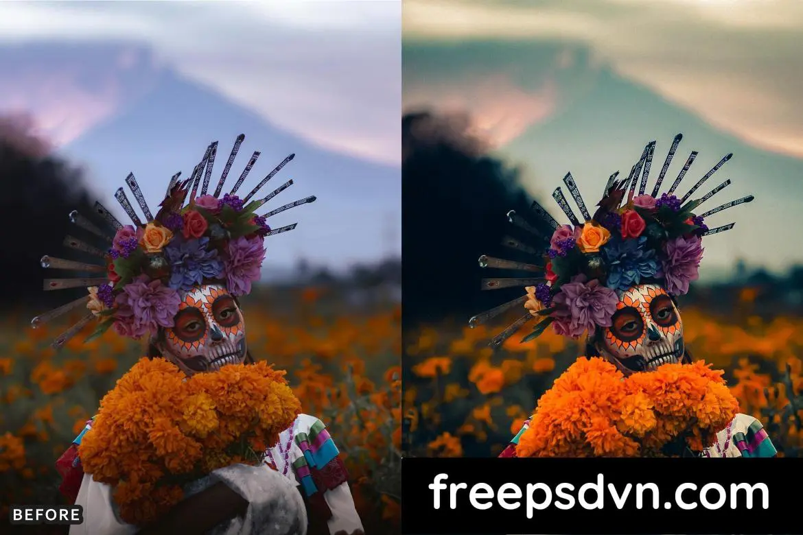 cinematic autumn fall lightroom presets l6jhbrh 5