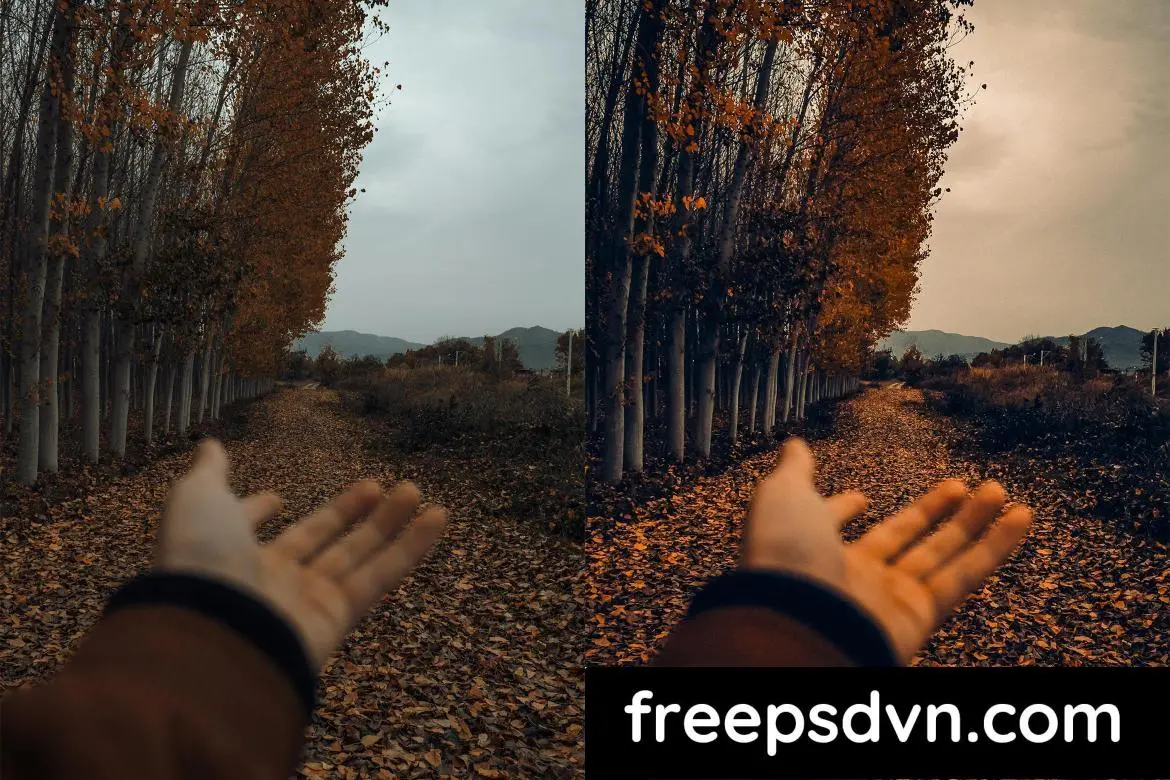cinematic autumn fall lightroom presets l6jhbrh 6