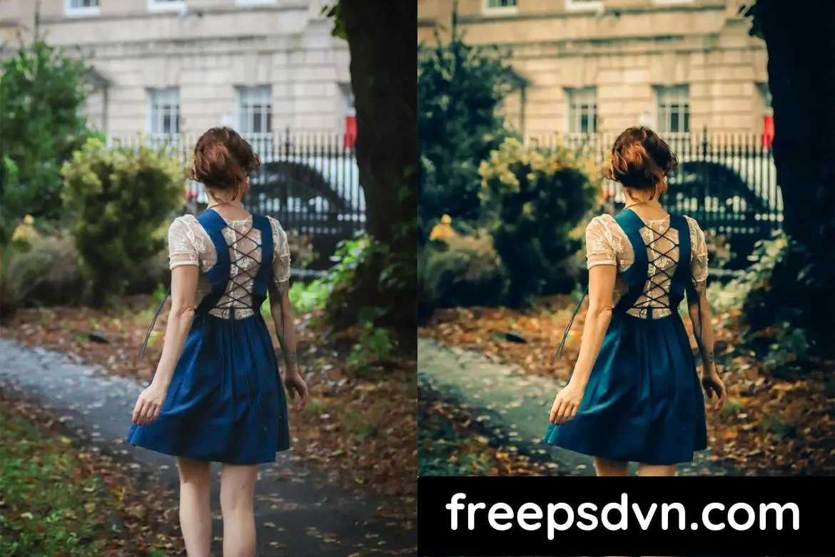 cinematic autumn fall lightroom presets l6jhbrh 7