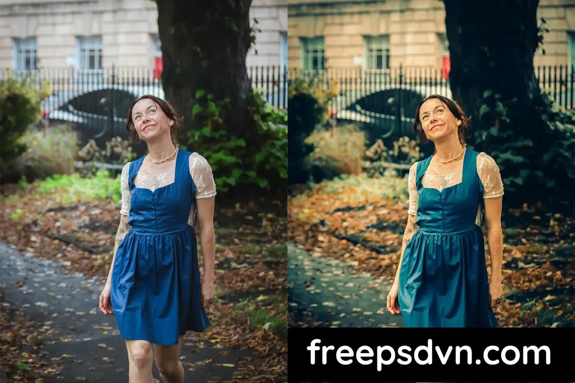 cinematic autumn fall lightroom presets l6jhbrh 9