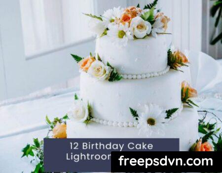 12 Birthday Cake Lightroom Presets XS6RRZD 0 480x360 1