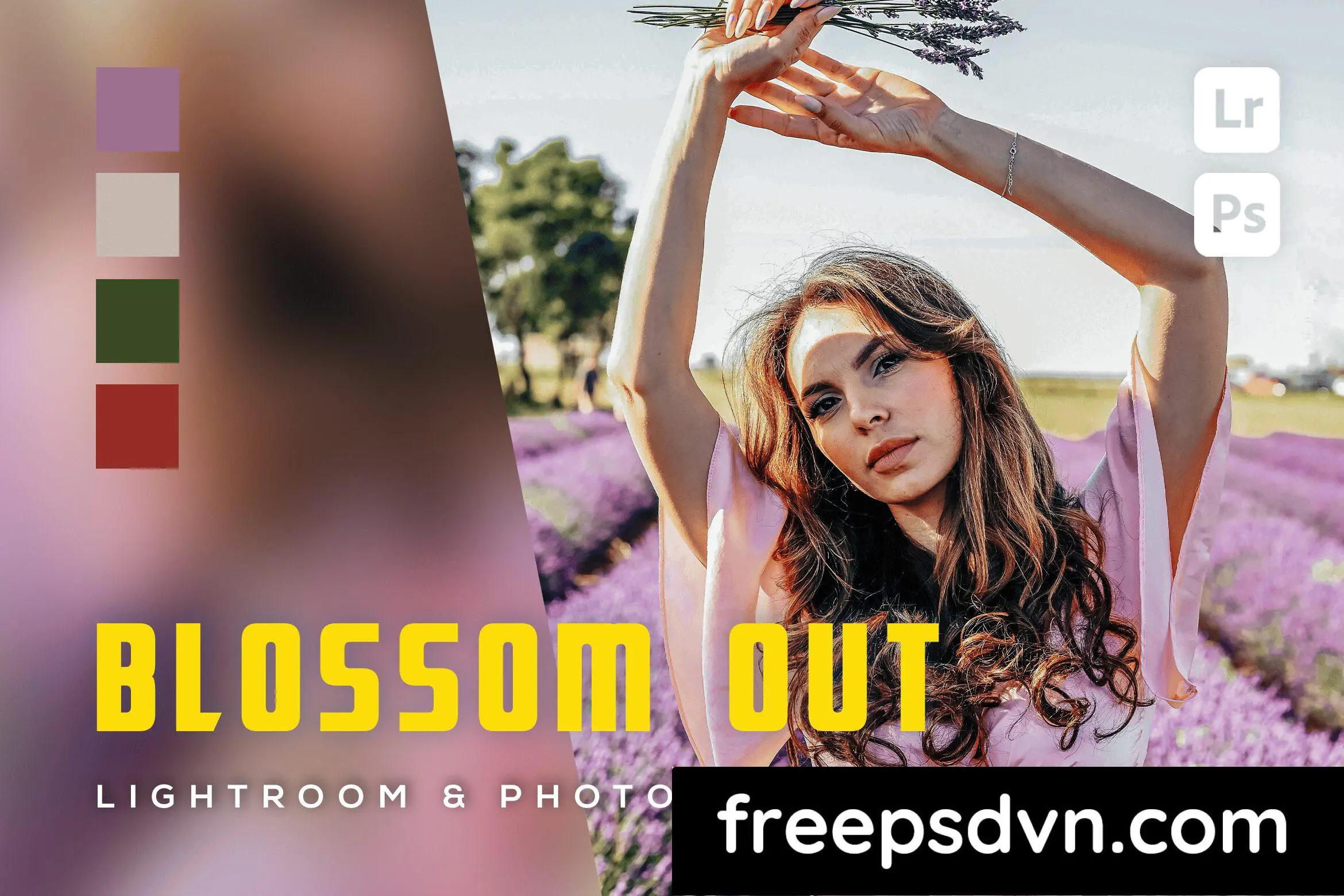 6 blossom out lightroom and photoshop presets jp83699 0