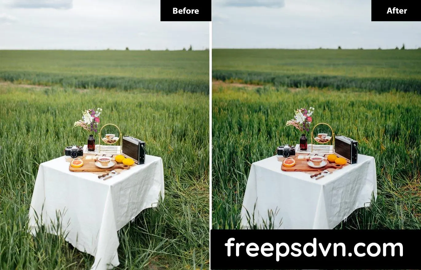 6 blossom out lightroom and photoshop presets jp83699 7