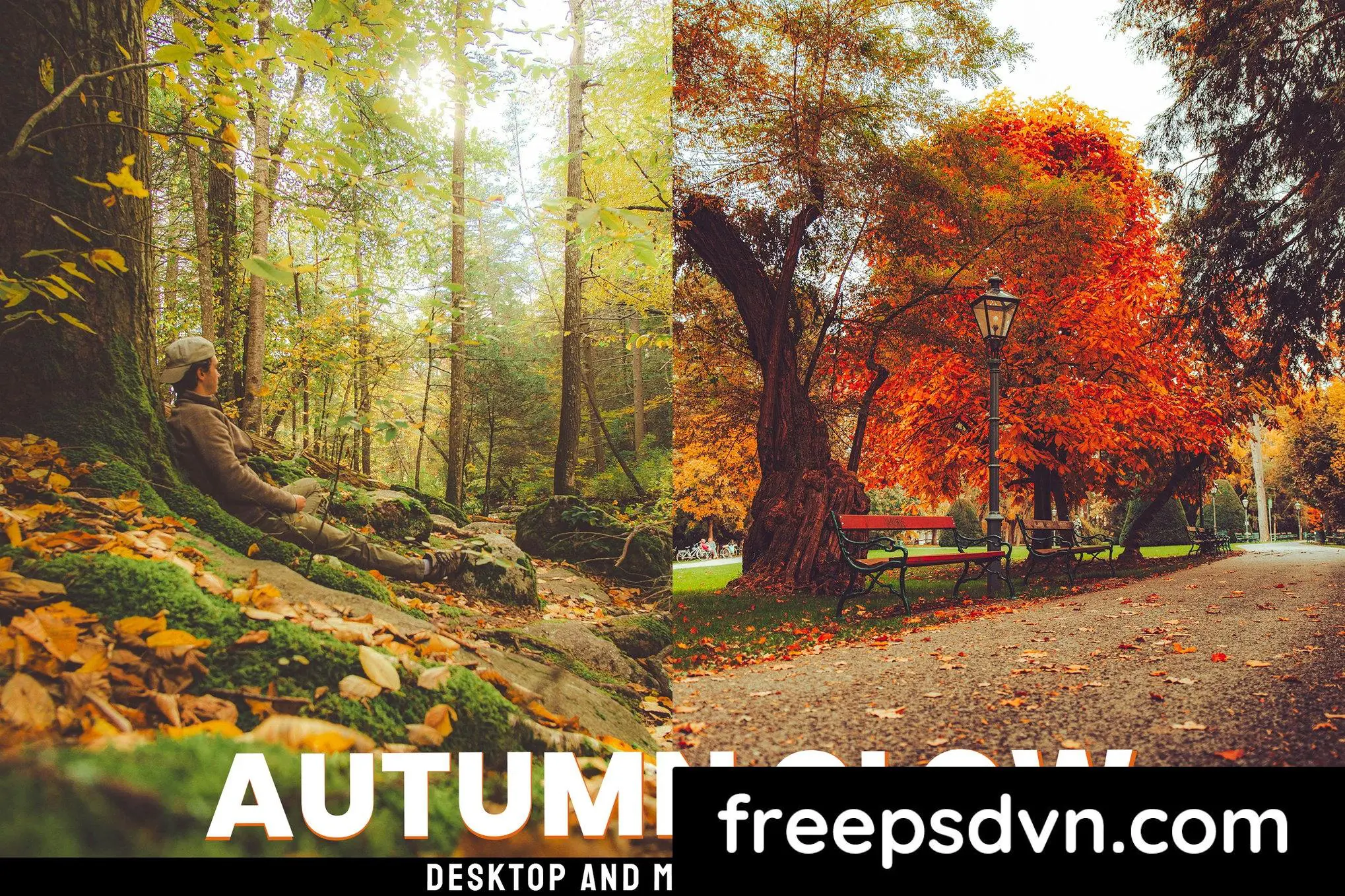 autumn glow desktop and mobile presets k4y3w9w 1