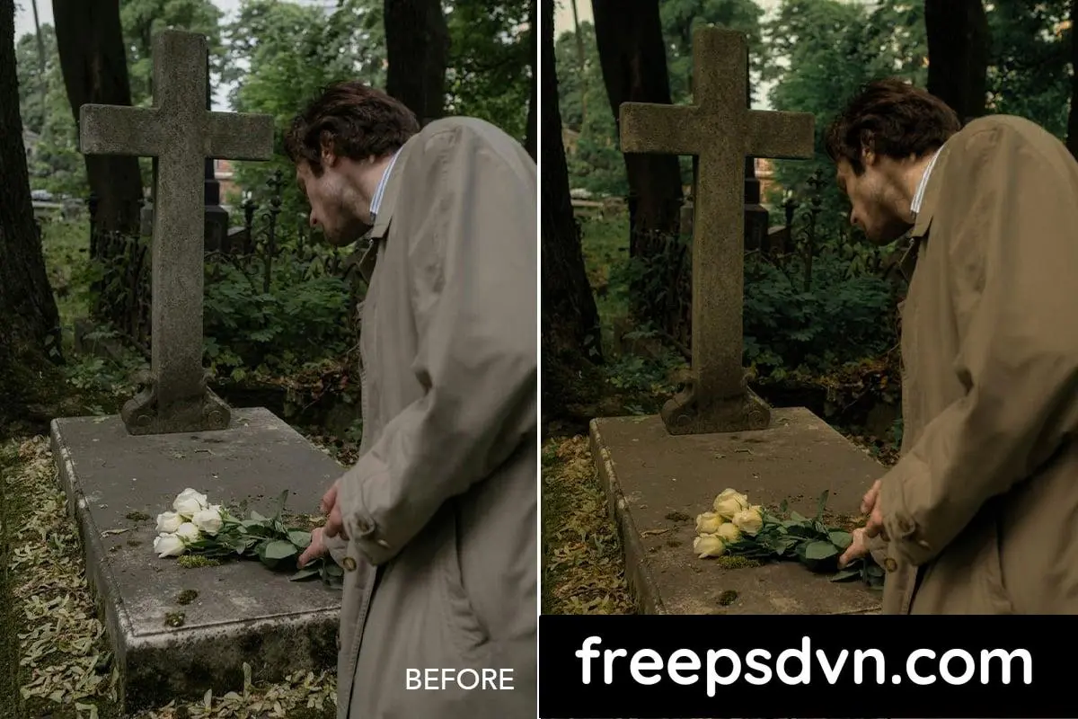 twilight cinema preset lightroom l774jvs 2